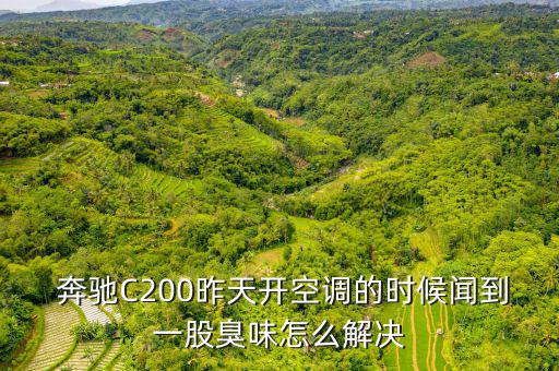  奔馳C200昨天開空調的時候聞到一股臭味怎么解決