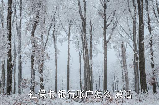 漢口銀行社保卡怎么激活,如何申請社?？ㄣy行卡激活第一步?