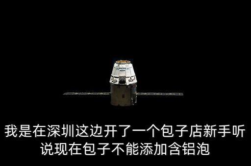 包子禁止添加什么，我是在深圳這邊開了一個(gè)包子店新手聽說現(xiàn)在包子不能添加含鋁泡