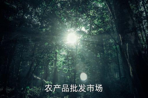 什么是公益性農(nóng)產(chǎn)品批發(fā)市場(chǎng)，談?wù)勅绾渭訌?qiáng)和完善公益性農(nóng)貿(mào)市場(chǎng)建設(shè)