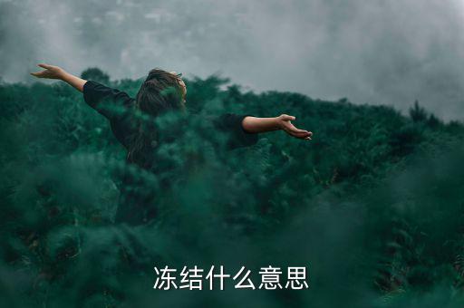閃電貸凍結(jié)是什么意思，閃電借款什么叫凍結(jié)百分之80的額度意思是信用卡里面額度要多少錢