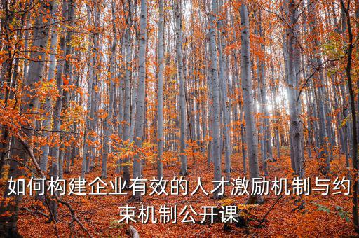 財務(wù)激勵與約束機制的設(shè)計原則是什么，財務(wù)激勵約束機制的概念是什么