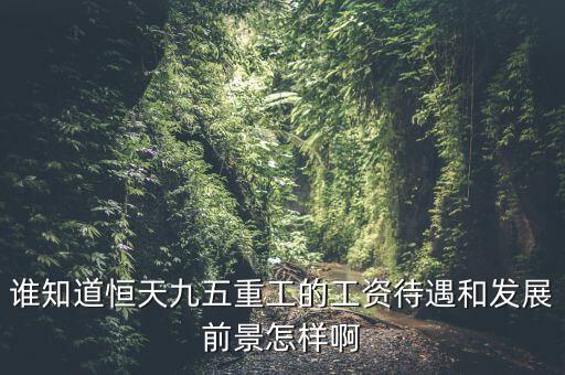 恒天九五什么時候上市，誰知道恒天九五重工的工資待遇和發(fā)展前景怎樣啊