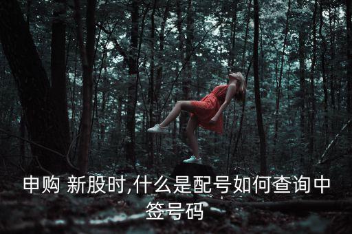 申購 新股時(shí),什么是配號(hào)如何查詢中簽號(hào)碼