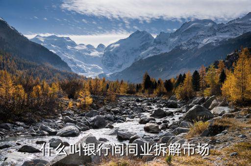 同業(yè)市場是指什么，想問一下旅游同業(yè)批發(fā)是什么意思