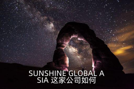 永信亞洲有限公司主要業(yè)務(wù)是什么，SUNSHINE GLOBAL ASIA 這家公司如何
