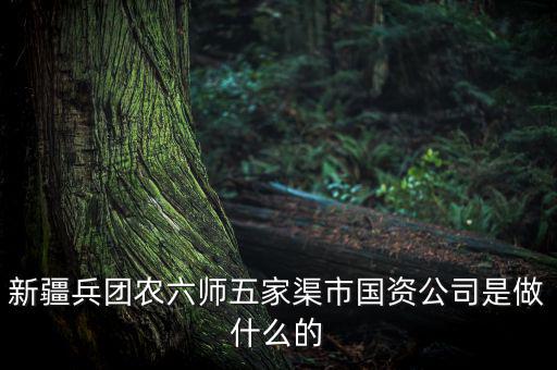 新疆兵團農六師五家渠市國資公司是做什么的