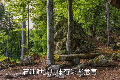 原油泄漏影響什么部門，石油泄漏具體有哪些危害