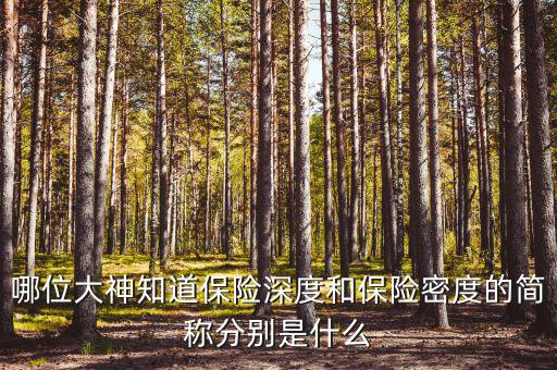 什么叫保險密度，保險深度與密度是什么