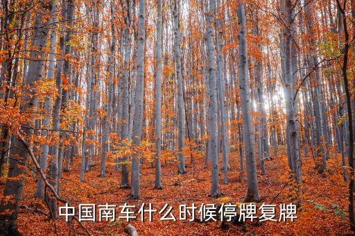 中國(guó)南車什么情況，中國(guó)南車跌停預(yù)示著大盤明天有什么狀況