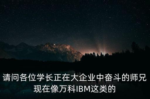 請(qǐng)問各位學(xué)長(zhǎng)正在大企業(yè)中奮斗的師兄現(xiàn)在像萬(wàn)科IBM這類的