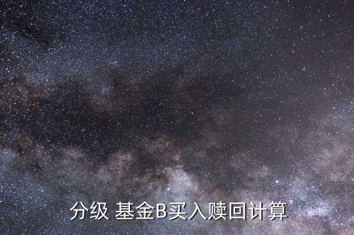 買(mǎi)分級(jí)基金手續(xù)費(fèi)怎么算,如何買(mǎi)b基金?