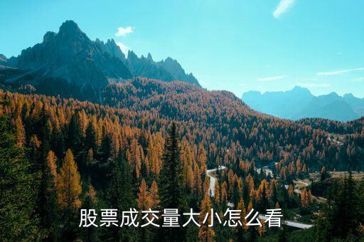 炒股怎么發(fā)現量能最大的,量能即市場交易量大則價格更好