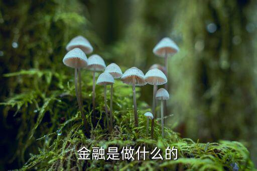 中國29金融是干什么的，金融是干什么的