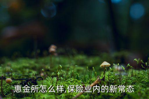 北京惠金所怎么樣,保險業(yè)內的新常態(tài)
