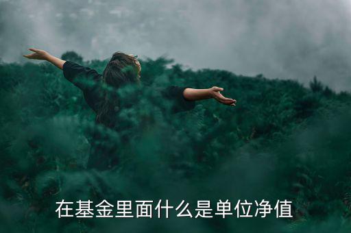 什么是基金單位凈值，基金單位凈值是什么意思