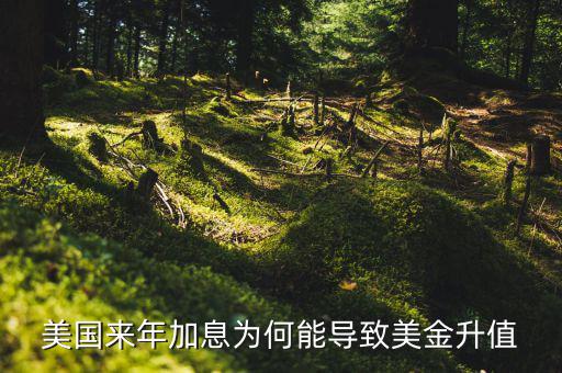美聯(lián)儲加息為什么會使美元升值，美國來年加息為何能導(dǎo)致美金升值