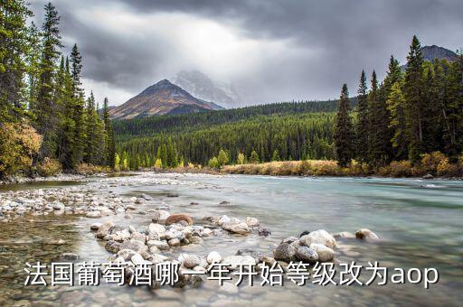 法國發(fā)生什么改革，法國葡萄酒哪一年開始等級改為aop