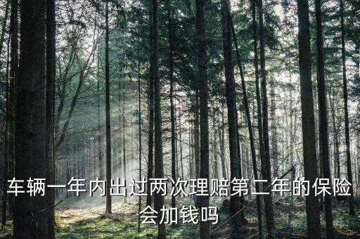 一年中兩次事故理培有什么影響，車輛一年內(nèi)出過兩次理賠第二年的保險(xiǎn)會(huì)加錢嗎