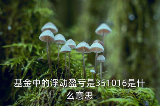 基金的浮動(dòng)盈虧是什么意思，基金中的浮動(dòng)盈虧是351016是什么意思