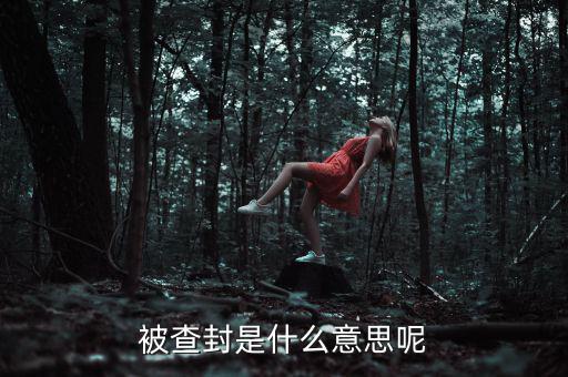 承兌匯票被查封是什么意思，被查封是什么意思呢