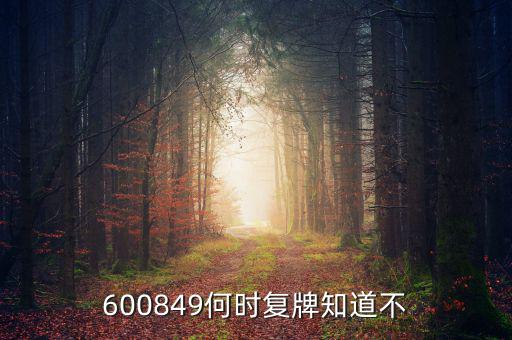 儀電b股什么時候復(fù)牌，600849何時復(fù)牌知道不