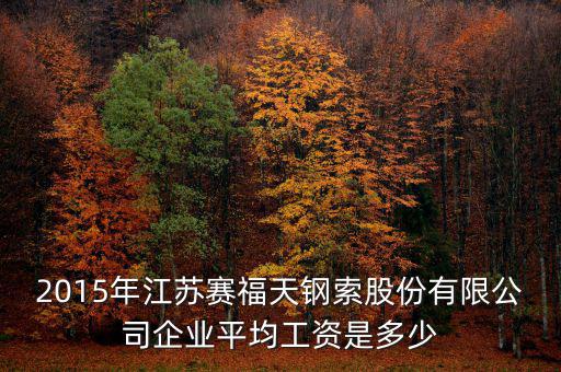 賽福天是什么公司，2015年江蘇賽福天鋼索股份有限公司企業(yè)平均工資是多少