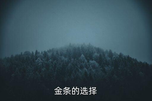 2O16什么金條保值，金條的選擇