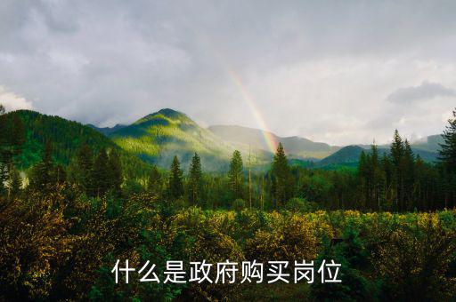 什么叫政府購買服務(wù)，什么是政府購買崗位