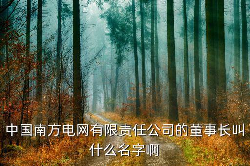 南方電網(wǎng)董事長(zhǎng)是什么級(jí)別，南方電網(wǎng)是的老總是部級(jí)嗎