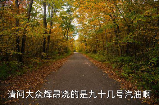 什么車燒90號汽油，請問大眾輝昂燒的是九十幾號汽油啊