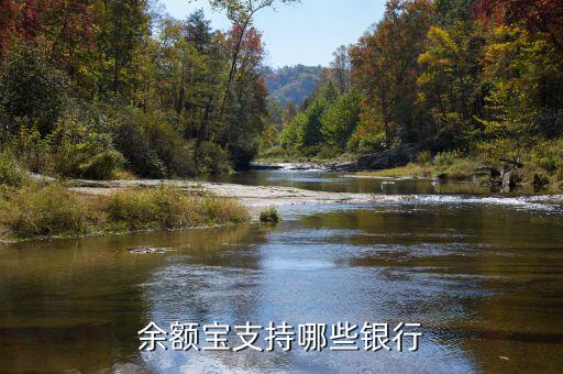 支付寶余額寶支持什么銀行卡，余額寶定期轉(zhuǎn)入支持什么銀行卡