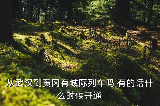 武漢至黃岡城際鐵路什么時候通車，從武漢到黃岡有城際列車嗎 有的話什么時候開通