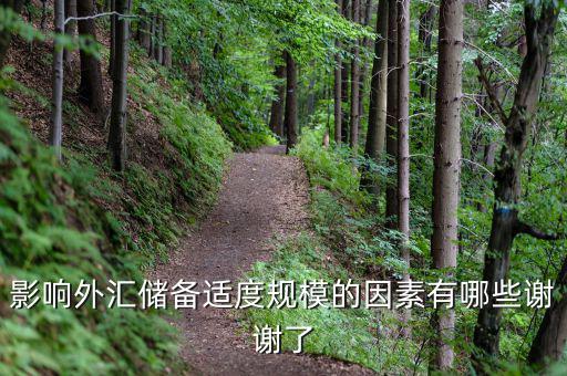 什么樣的外匯儲(chǔ)備規(guī)模是合理的，我國(guó)的外匯儲(chǔ)備規(guī)模是否合理