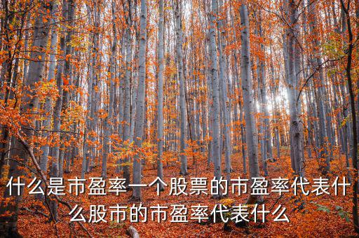 平均市盈率說明什么，什么是市盈率一個(gè)股票的市盈率代表什么股市的市盈率代表什么