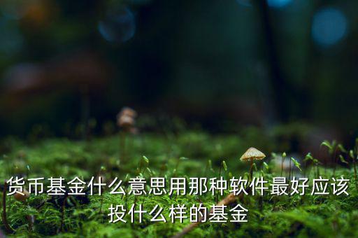 貨幣基金t什么意思，貨幣基金贖回時(shí)間T3是什么意思