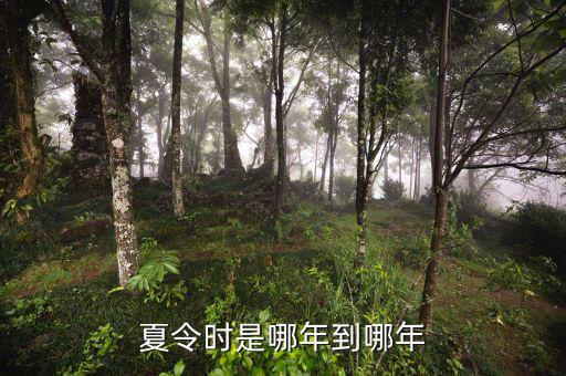 夏令時(shí)從什么時(shí)候開始，夏令時(shí)是哪年到哪年