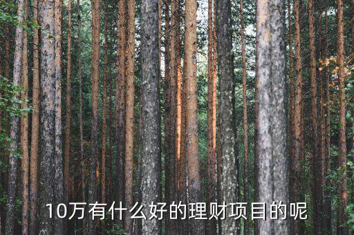 10萬做什么理財好，10萬有什么好的理財項目的呢