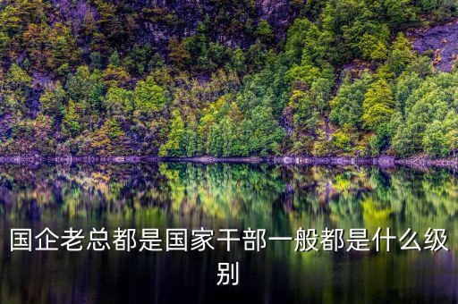 中交地產(chǎn)總經(jīng)理屬于什么級別干部，國企老總都是國家干部一般都是什么級別