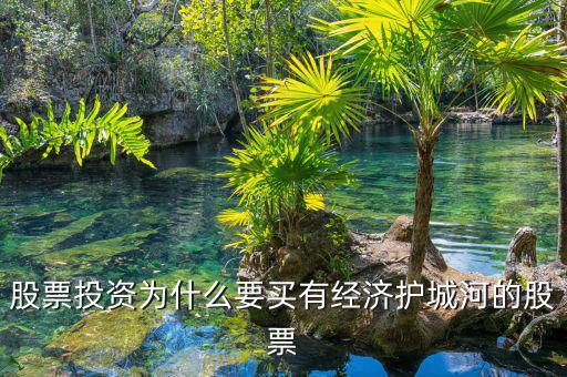 什么是股票投資的護城河理論，從基本面看證券投資的護城河是指哪幾類情況