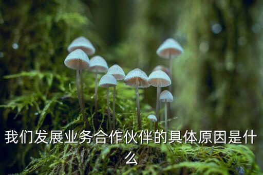為什么要發(fā)展同業(yè)業(yè)務，匯付天下之前說要大力發(fā)展同業(yè)業(yè)務同業(yè)業(yè)務指的是甚么