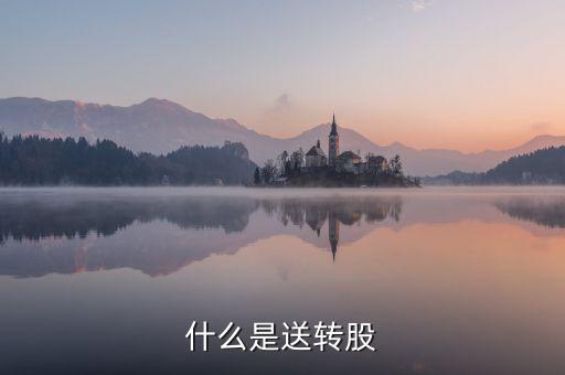 什么叫送股，什么是送轉(zhuǎn)股