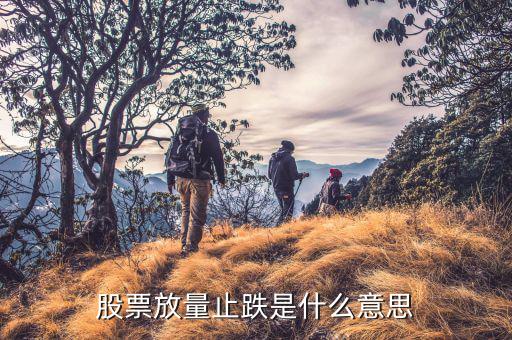 放量跌停說明什么，量比暴漲股票跌停說明什么