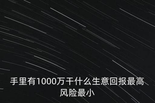 1000萬投資什么生意，手里有1000萬干什么生意回報(bào)最高風(fēng)險(xiǎn)最小