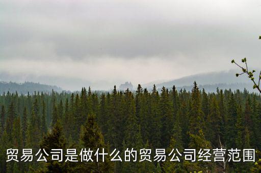 民百集團(tuán)經(jīng)營什么，貿(mào)易公司是做什么的貿(mào)易公司經(jīng)營范圍