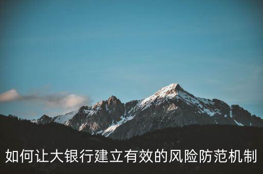 什么是大而不倒問題，如何讓大銀行建立有效的風險防范機制