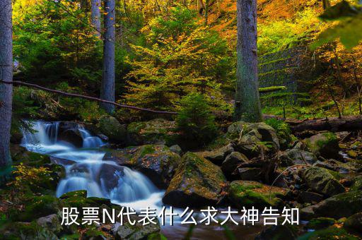 股市中n是什么意思，一些股票中前面的N是什么意思