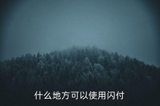 濟南什么地方支持閃付，濟南那個超市pos機有閃付