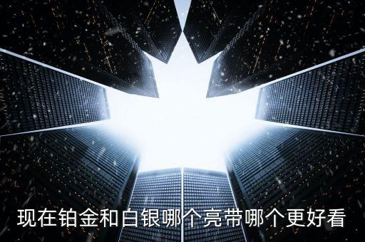 什么白銀最亮，哪種銀子最好