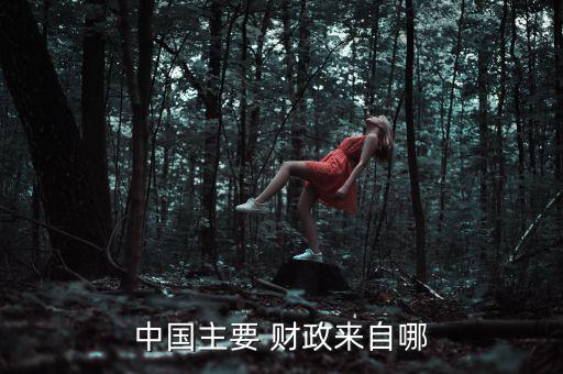 中國(guó)主要 財(cái)政來(lái)自哪